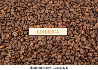 phân biệt cà phê Excelsa và Liberia