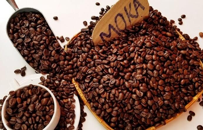 phân biệt hạt cafe Moka 