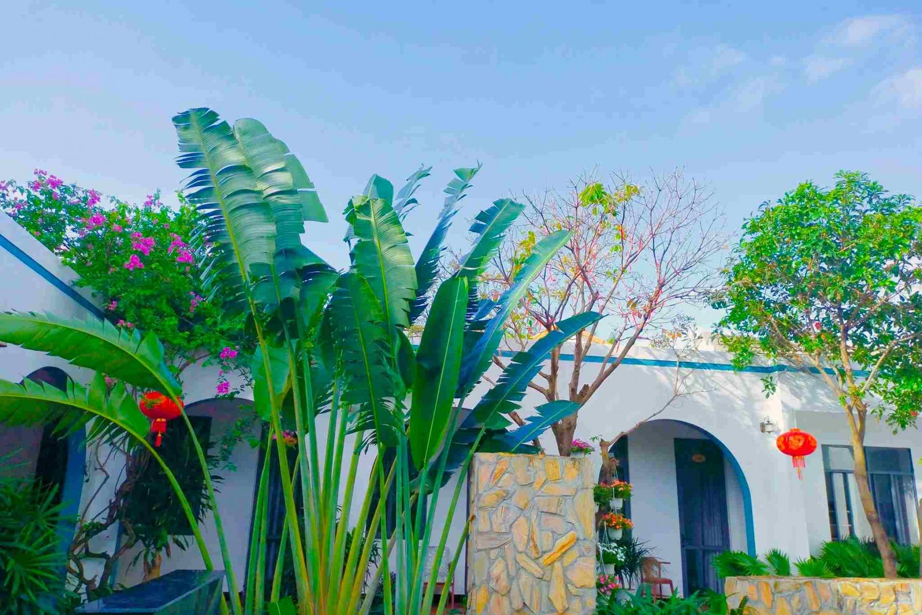 Review Tropical homestay Phú Yên