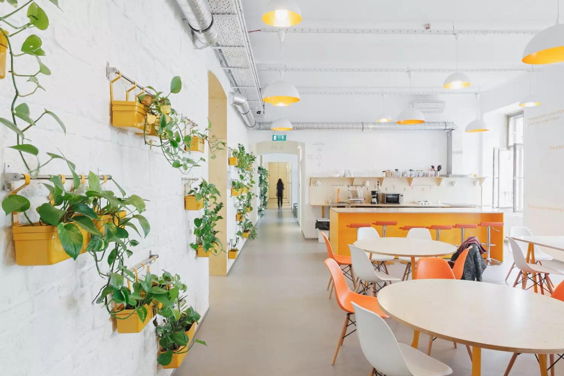 chuẩn bị thiết kế hostel 3