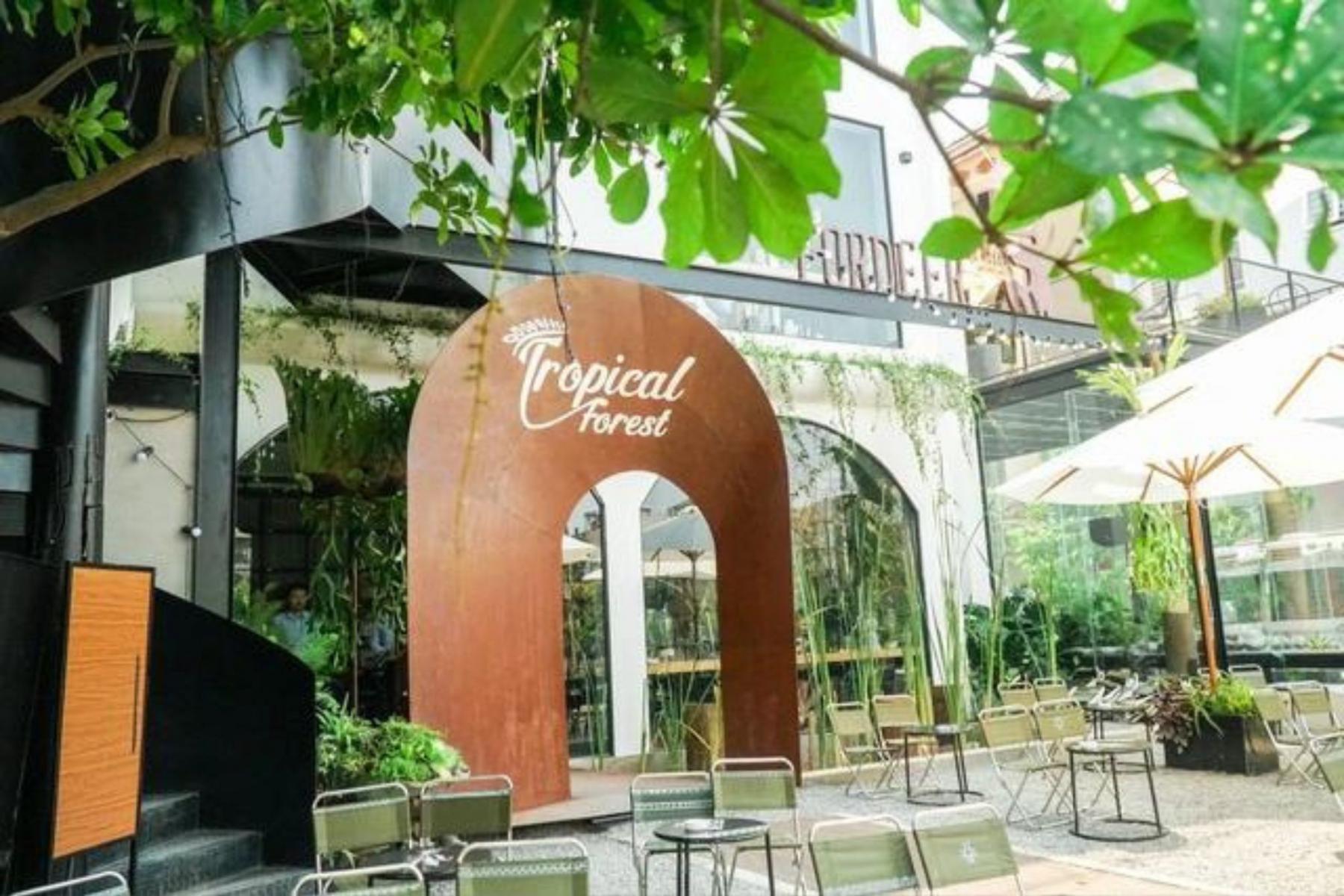 Các loại cây cho quán cafe