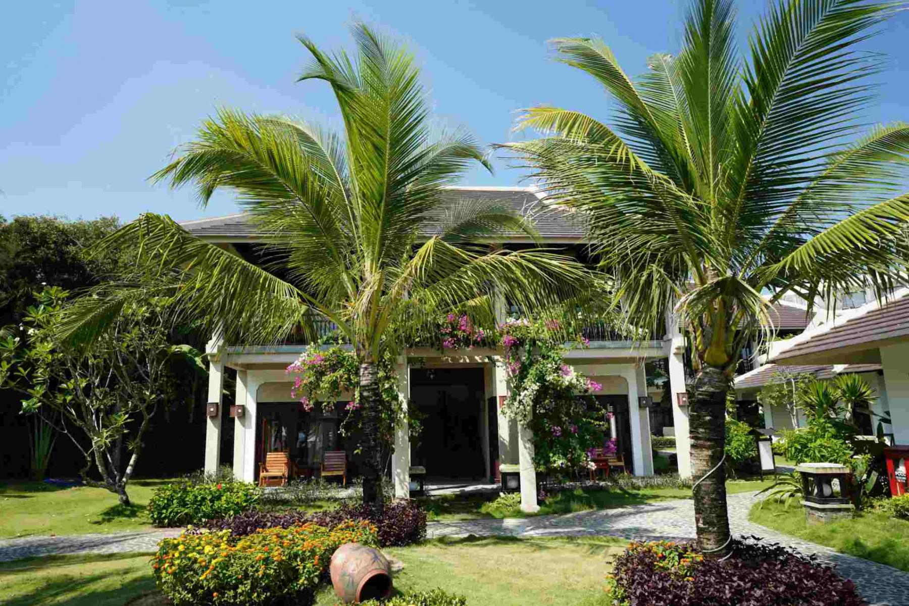 Bungalow Garden View