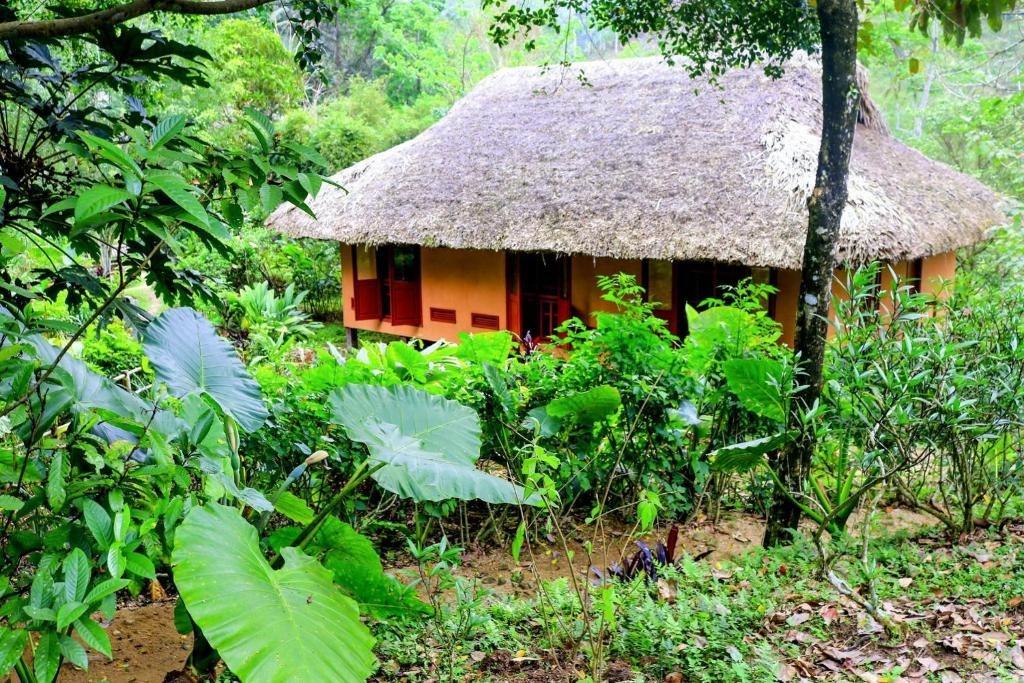 Ecolodge Pan Hou Village - Kiến trúc nhà sàn mái lá