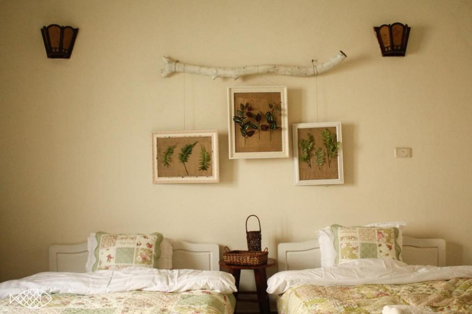 homestay cá hà nội mẫu phòng homestay đẹp