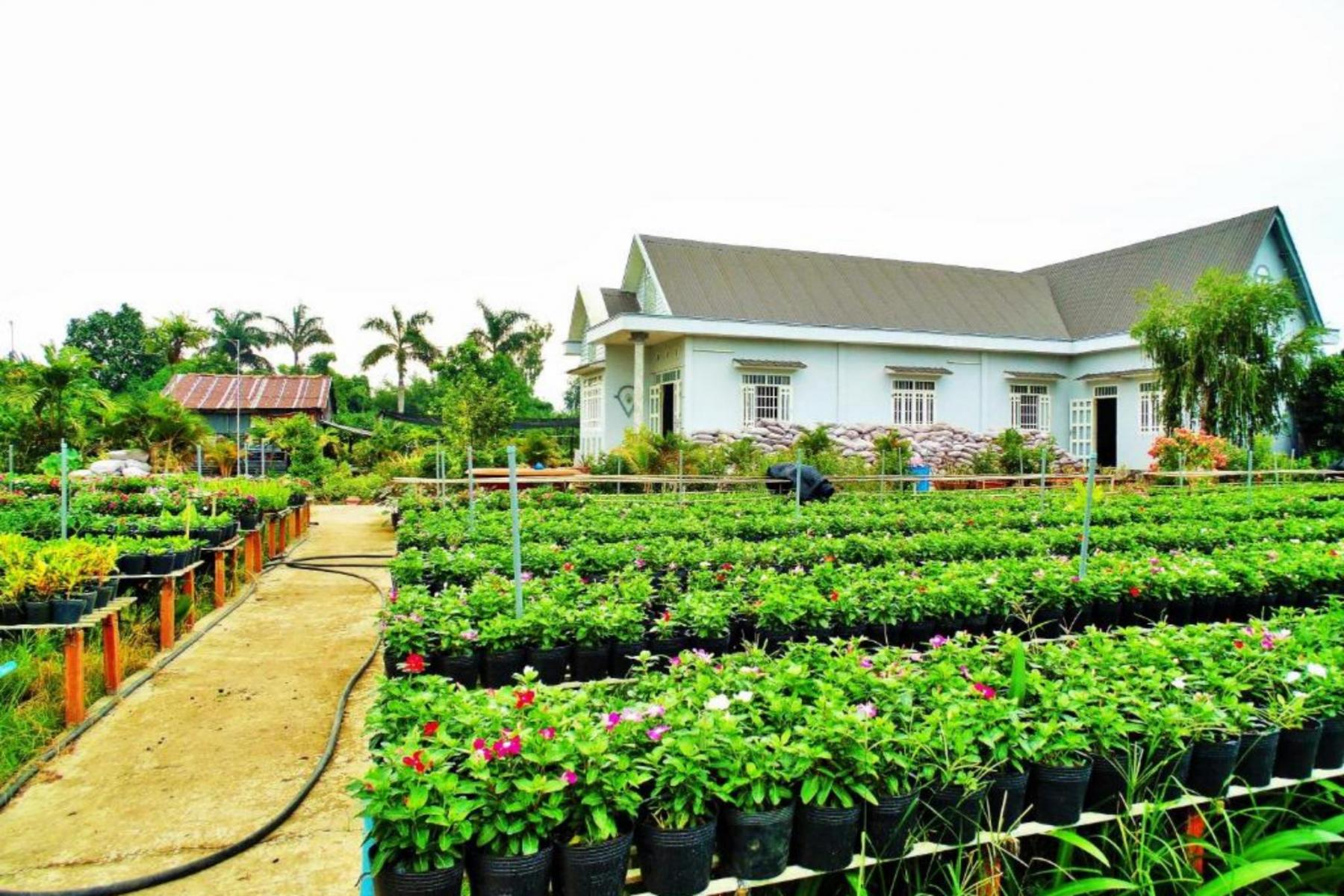 mẫu thiết kế homestay nhà vườn flower village